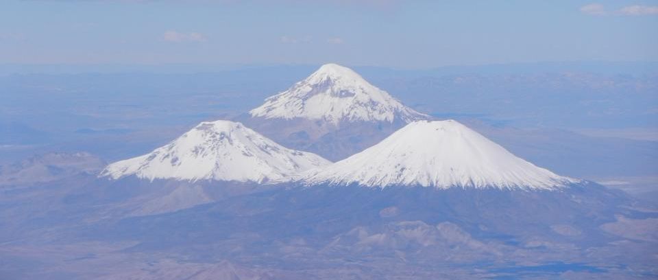 sajama